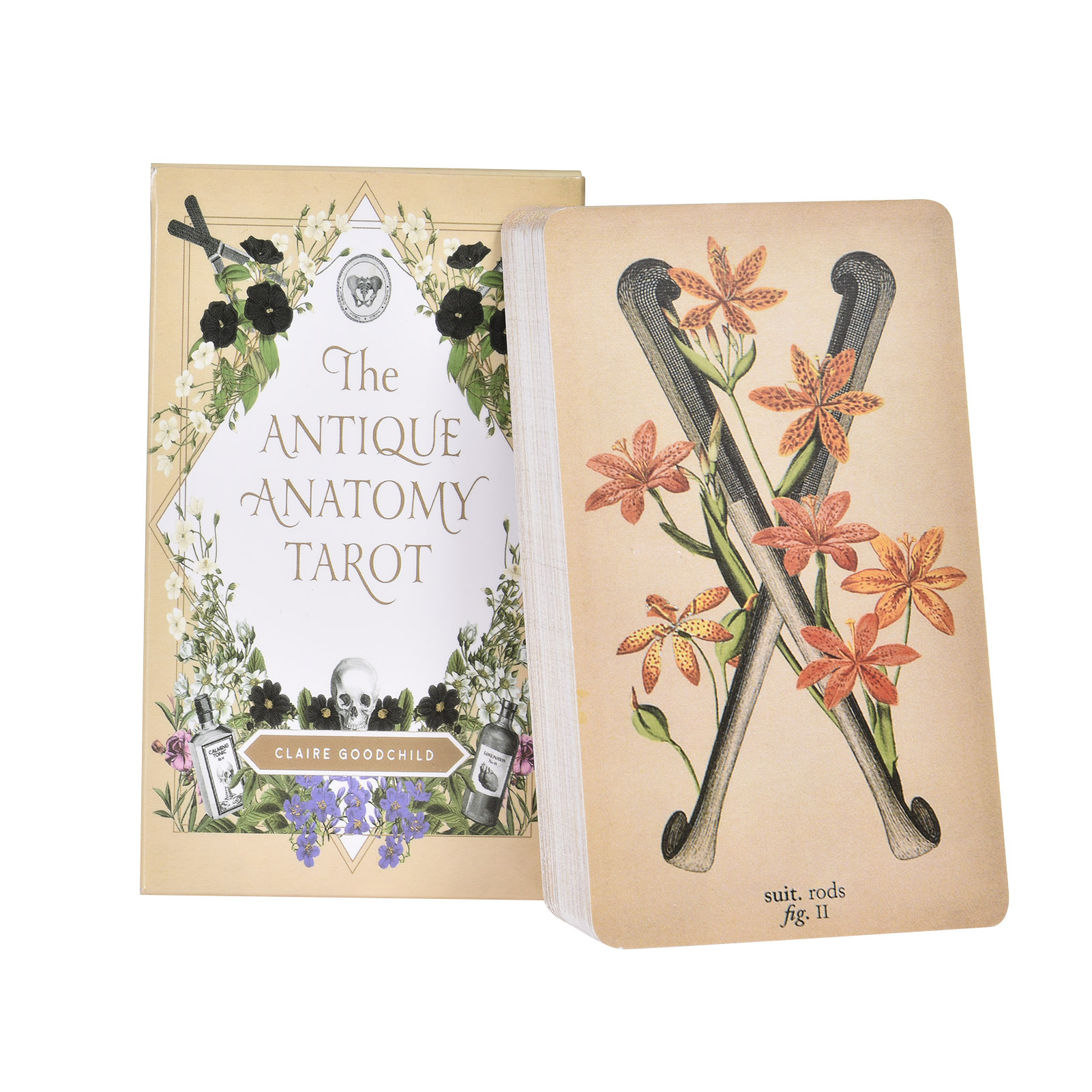 Die Antike Anatomie Tarotkarte – Tarot Cards Deck With Guidebook Bewertung und Preis