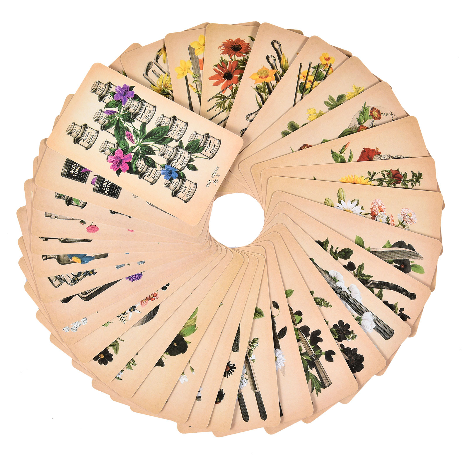 Die Antike Anatomie Tarotkarte – Tarot Cards Deck With Guidebook Bewertung und Preis